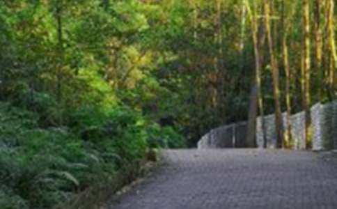 关于爬山日记3篇