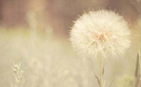 ���ѹ�Ӣ���̰�����