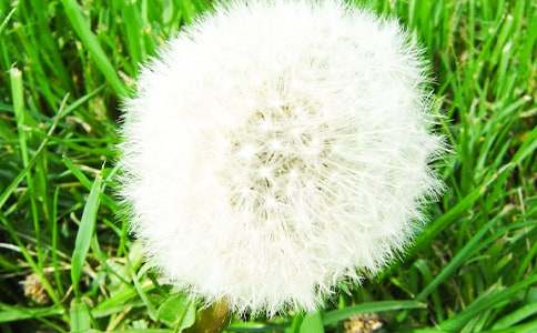 С���Ϻ��ѹ�Ӣ�̰�