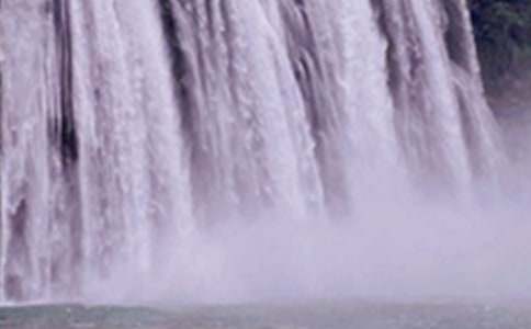 紫藤萝瀑布读后感15篇(热门)