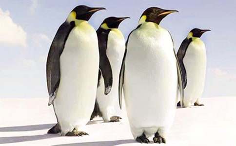 ������ռǵĹۺ��