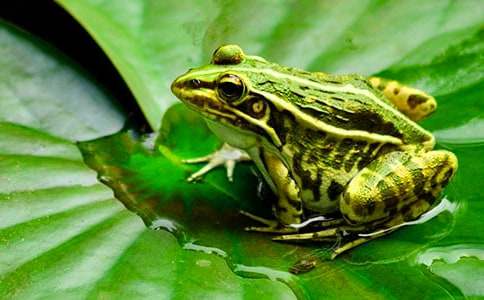 �������ܵĳ�����