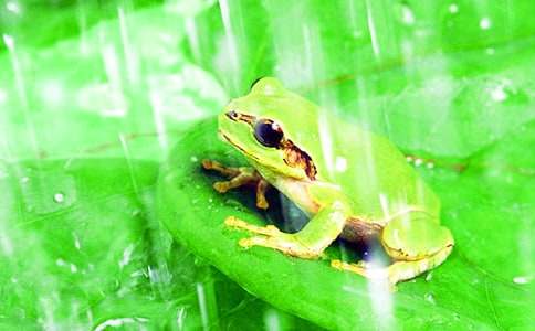 �����ܾ��Ű������и�