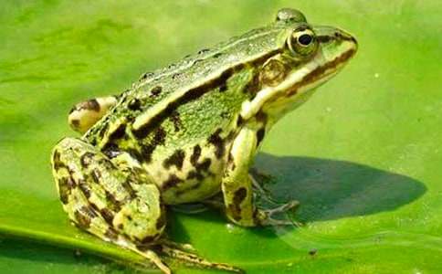 ���ġ����ܿ������̰�