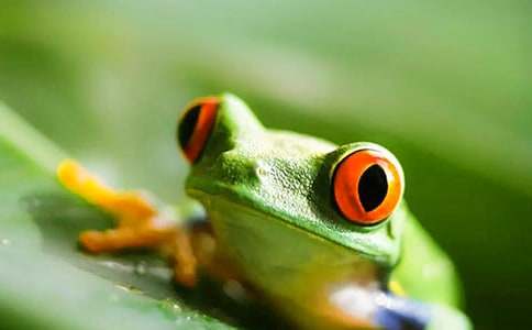 ���ܾ��Ű���������(����15ƪ)