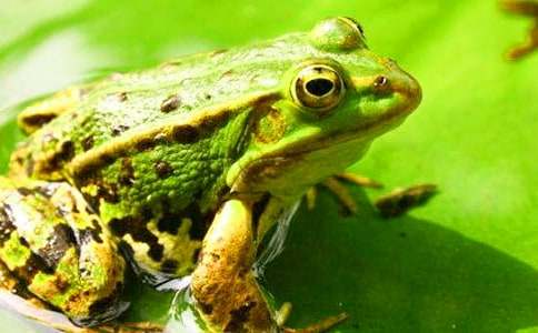 �������ܵĳ�����12ƪ