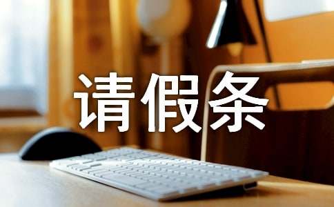 ���˵������