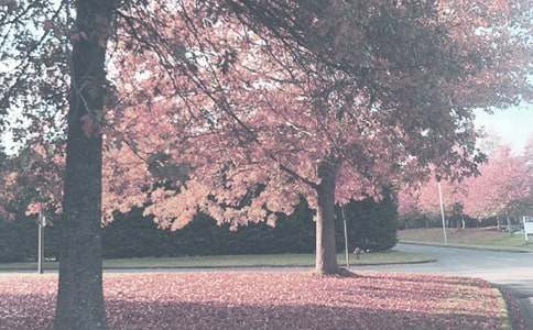 �＾С�๤���ƻ�����10ƪ