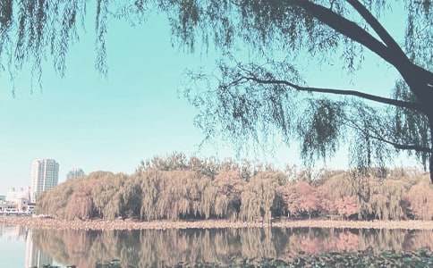 �����š�С���＾�����ƻ�3ƪ