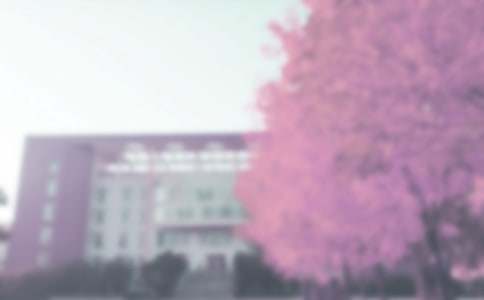 С���＾���˹����ƻ���ͨ��16ƪ��