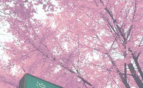 【推荐】秋季工作计划三篇