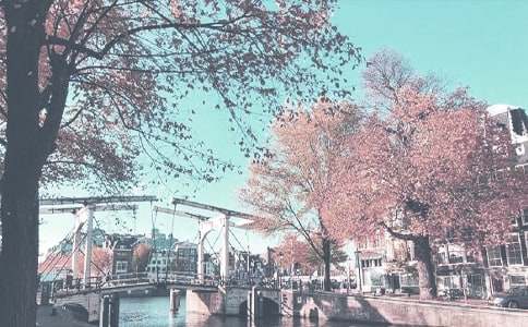 秋季的雨夜伤感的说说