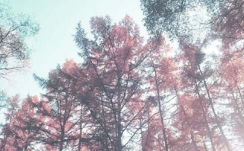 �＾��ѧ�ܽ�ϼ���ƪ