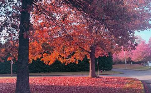 ����ů����˵˵���� ��д���������