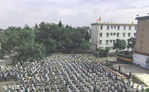 ���ɢѧ���񽲻���(15ƪ)