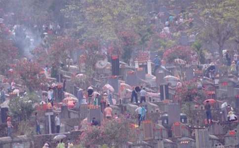 ɨĹ��������