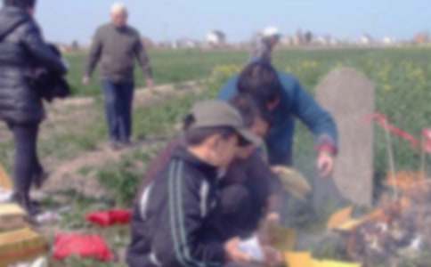 ɨĹ�������