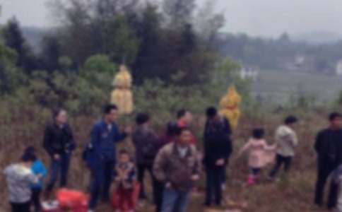 ɨĹСѧ����