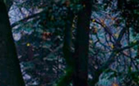 三体黑暗森林读后感_读后感