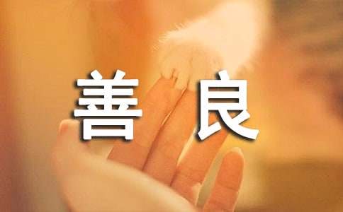 善良的高中作文