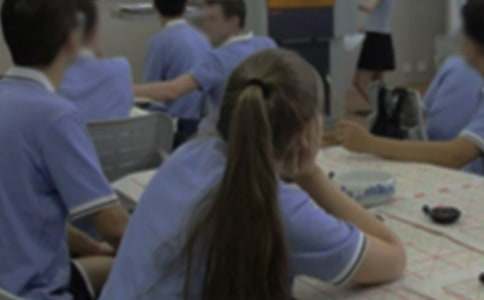 ѧ���Ͽ�˵�������飨�ر���