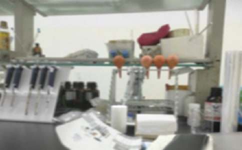 ����ʵ���ҹ����ƻ���ѡ(15ƪ)