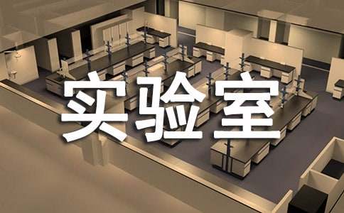 (��)Сѧ��ѧʵ���ҹ����ܽ�