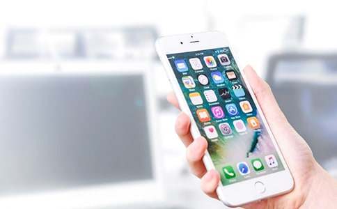 Զ���ֻ�������(����15ƪ)