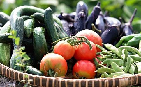 认识蔬菜教案范文汇总八篇