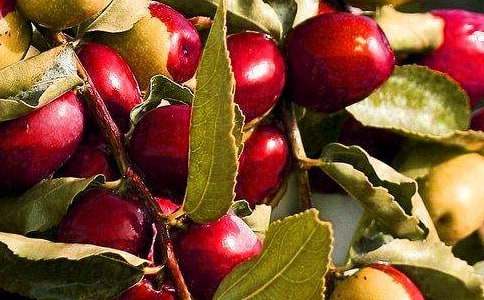 ˮ��ƴ�̴��̰�