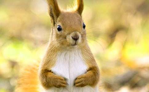 ��������ɹ�����ѧ��˼15ƪ