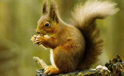 ���ܽ����������󡷽�ѧ��˼