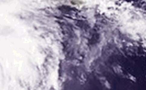 ̨����ռ�15ƪ