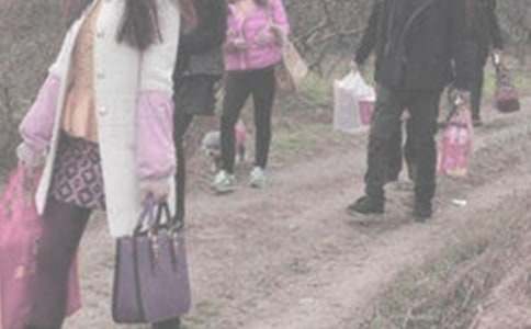 ̽�׼����������