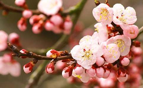 �һ���������