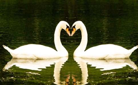 ��С�ŵ��������