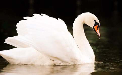 ���������ˮ���������(����15ƪ)