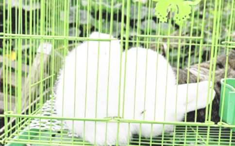 �������¡������[ʵ��15ƪ]