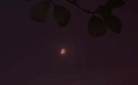 经典暖心晚安说说(精选45句)