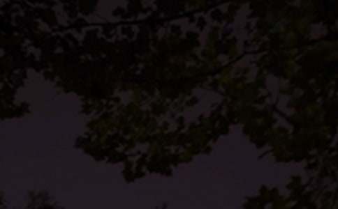 常用晚安说说大全(精选95句)