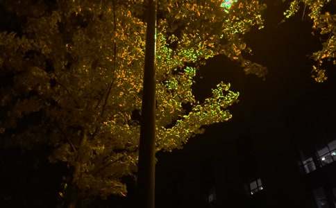 最新唯美晚安祝福语(通用170句)