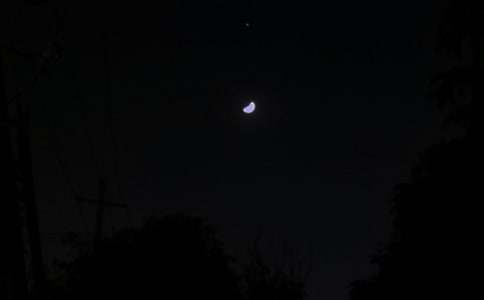 �й�����������¼��ϼ�81��