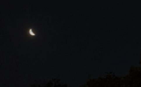 ��������¼�����š�