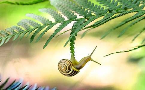 ��ţ�ռ�ģ��9ƪ