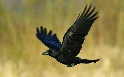 ��ѡ����ѻ��ˮ���̰�����10ƪ