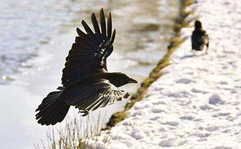 ��ѡ����ѻ��ˮ���̰����Ľ���9ƪ