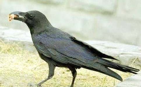 �йء���ѻ��ˮ���̰�ģ�����8ƪ