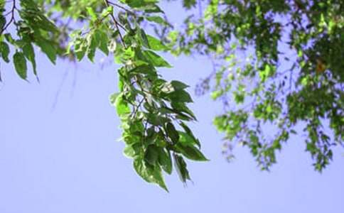 ��ܰ�簲˵˵��ͨ��40�䣩