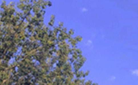 2022��ʵ�õ����������簲��¼����96��