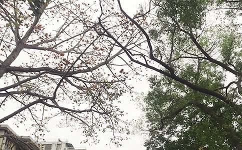 �簲ף�����ȫ70�侫ѡ